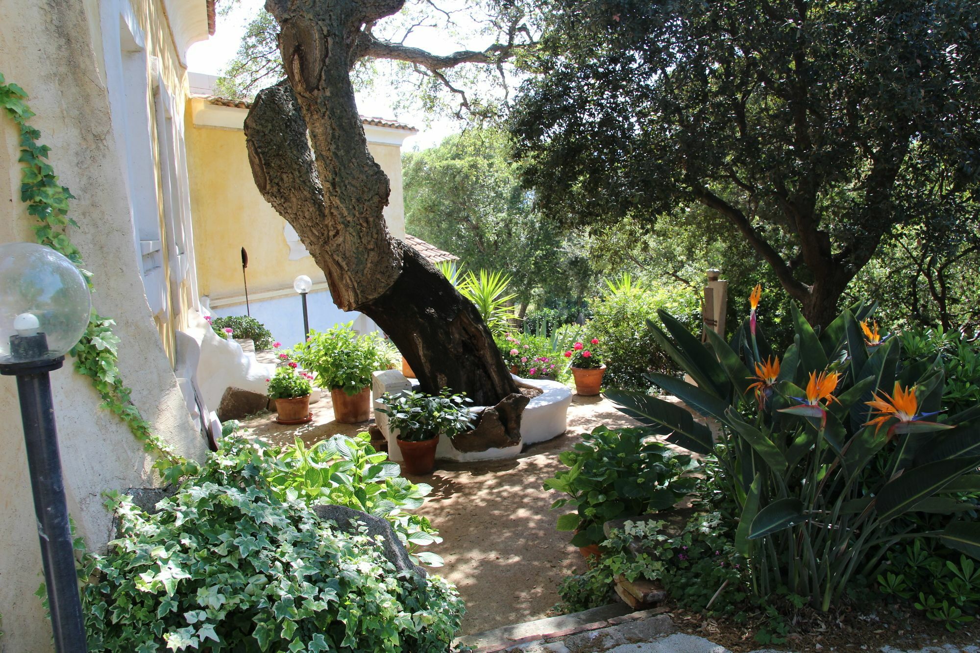 Residenza Di Campagna Seranile Dorgali Luaran gambar